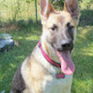 Meet your Posher, Dave